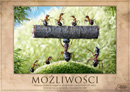 Możliwości